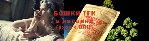 шишки Горно-Алтайск