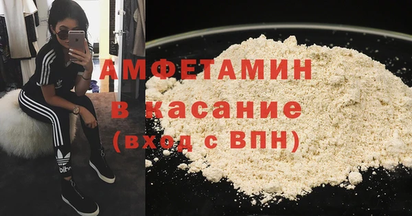 шишки Горняк
