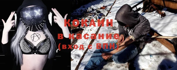 шишки Горно-Алтайск