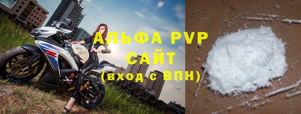 шишки Горно-Алтайск