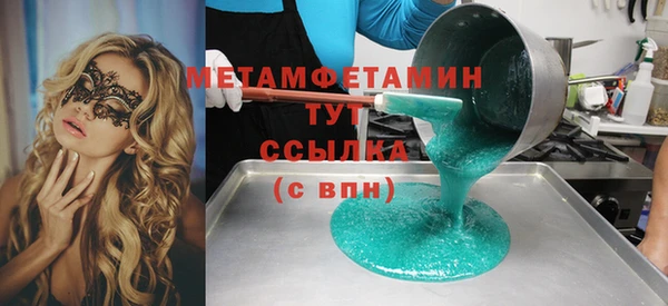 шишки Горняк