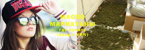 шишки Горняк