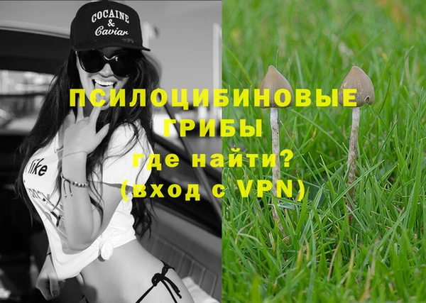 шишки Горняк