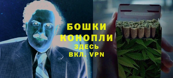 тгк Горнозаводск